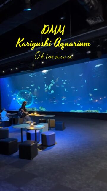 Step into the stunning Uchina Big Aquarium at DMM Kariyushi Aquarium in Okinawa — the aquarium’s highlight main tank filled with graceful marine life from local waters. Watch elegant rays, zebra sharks, and shimmering schools of fish glide through the crystal-clear depths, while the unique glass ceiling lets you peer down from above as if walking on water. Blending real sea creatures with immersive lighting and projections, it creates a mesmerizing, dreamlike underwater world perfect for all ages. #DMMKariyushiAquarium #KariyushiAquarium #OkinawaAquarium #Okinawa #japantravel