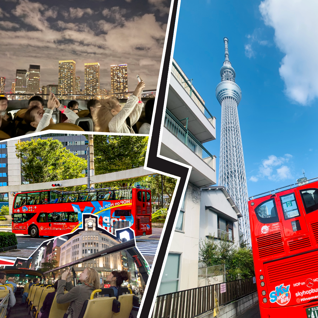 Sky Hop Bus Red Course