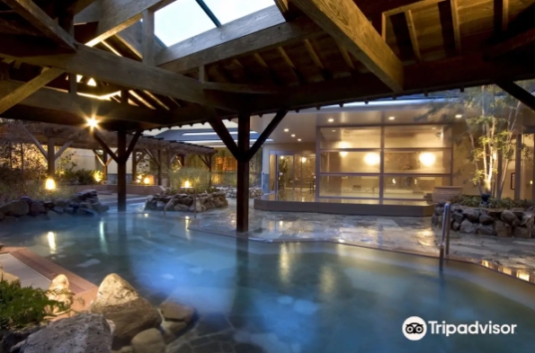 Tennen Onsen Naniwanoyu