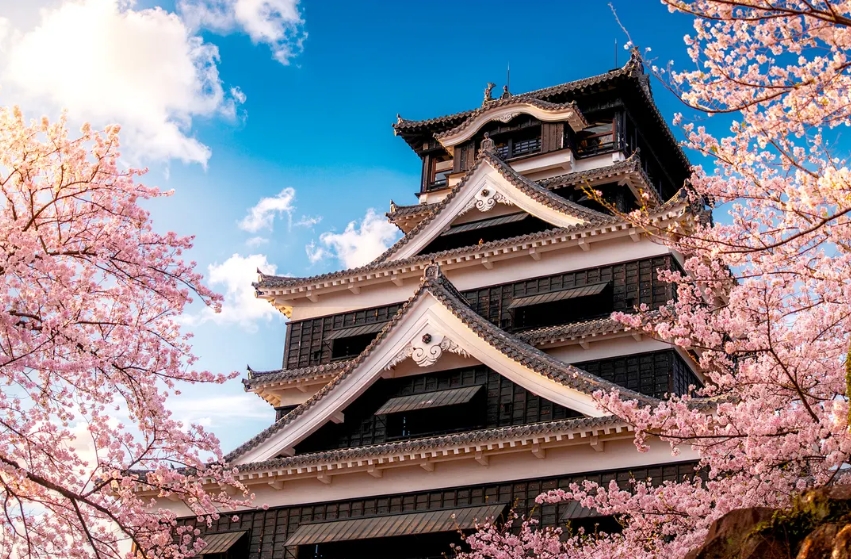 Fukushima Cherry Blossoms