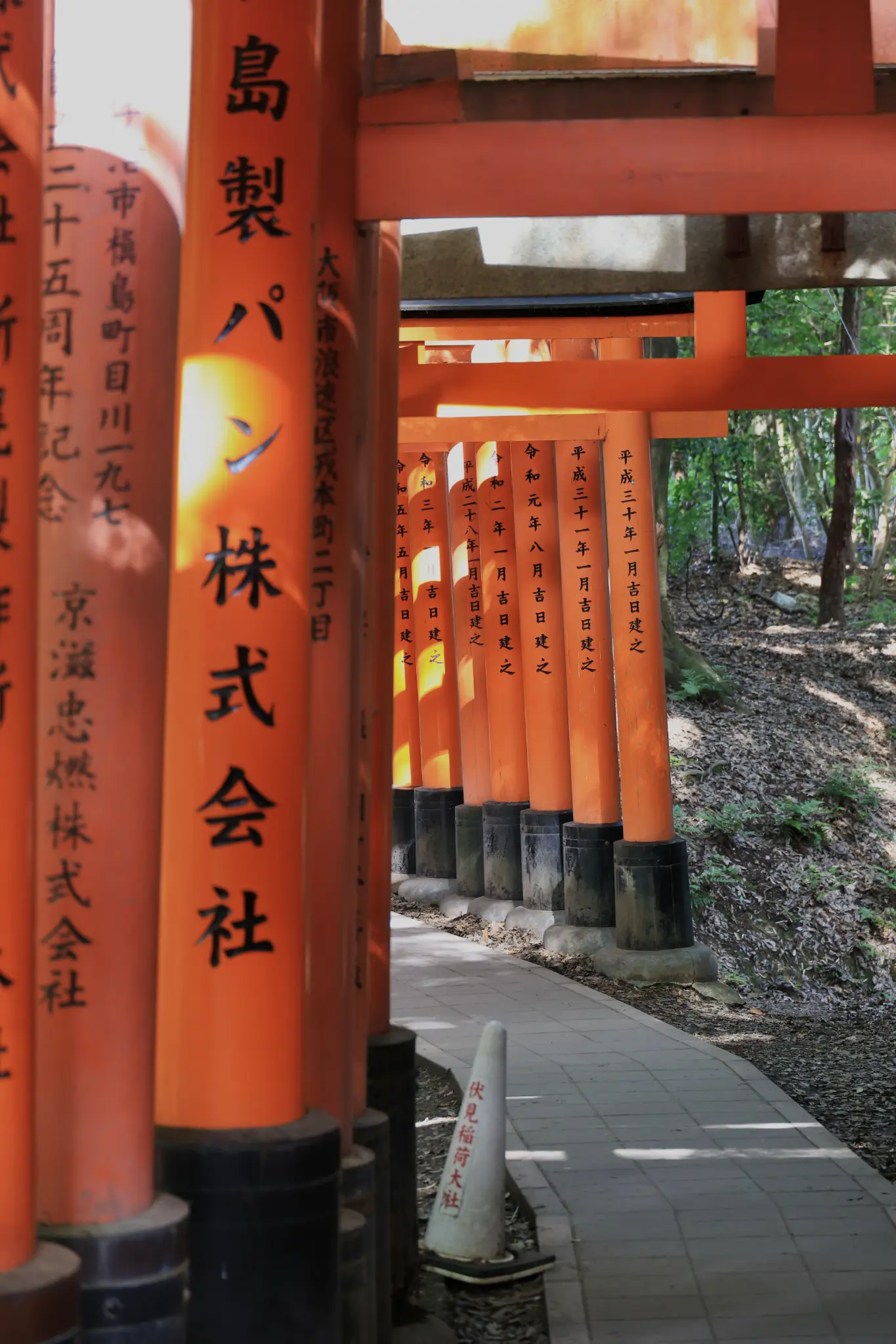 Sunlight filtering through the torii gates at Fushimi Inari