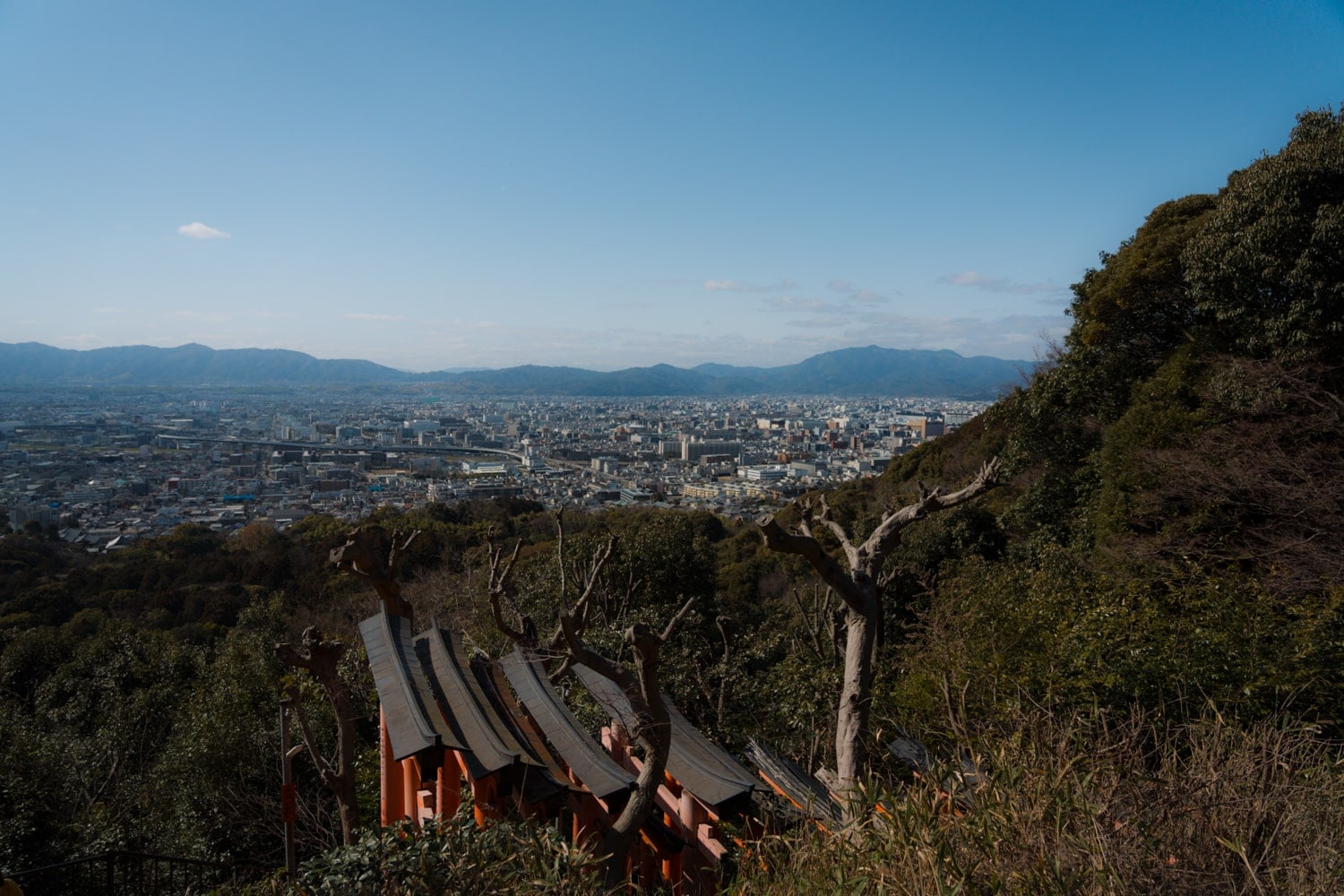 A quiet trail path at Fushimi Inari Taisha
