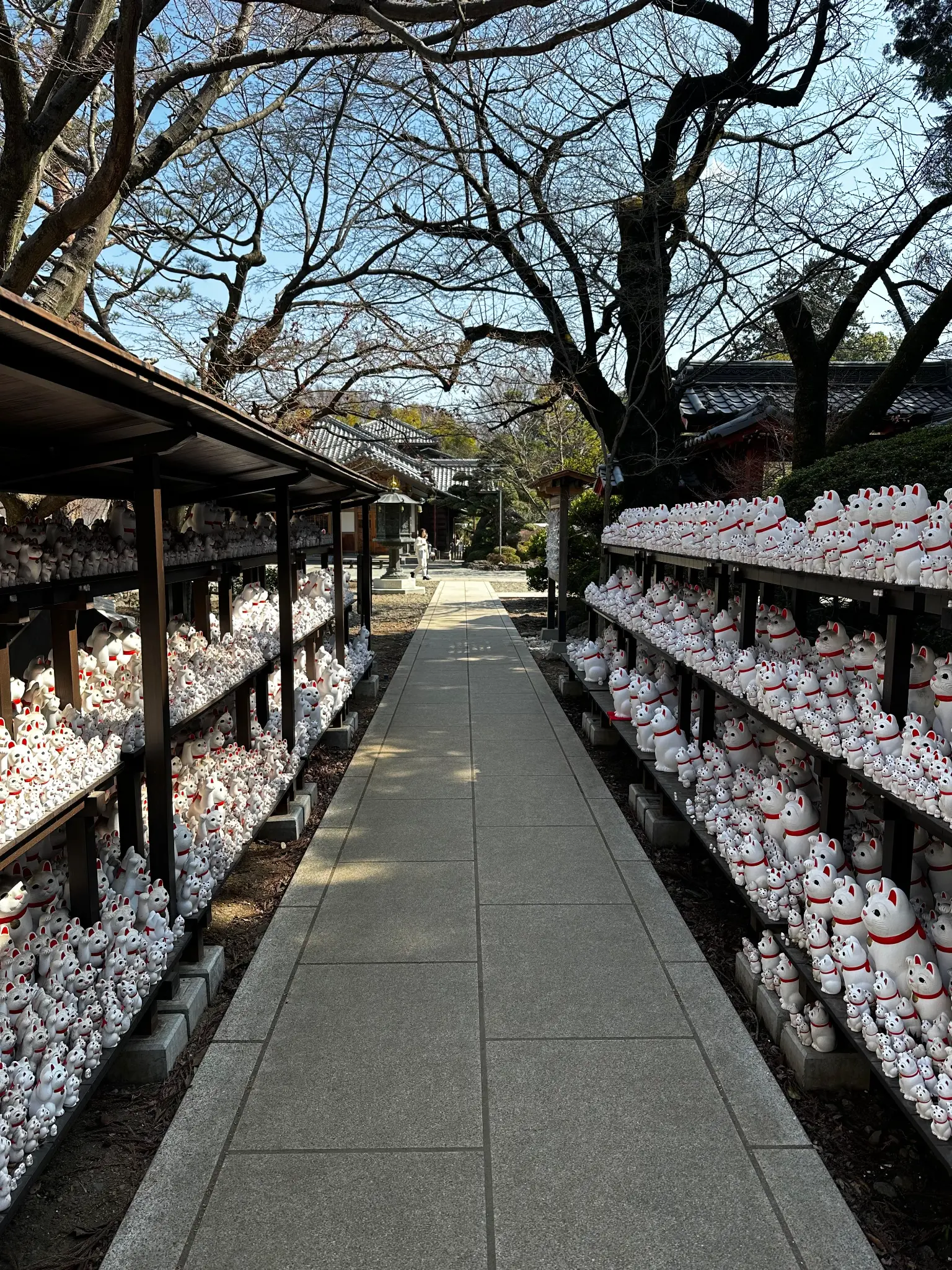 Pathway lined with Maneki-neko statues at Gotokuji Temple