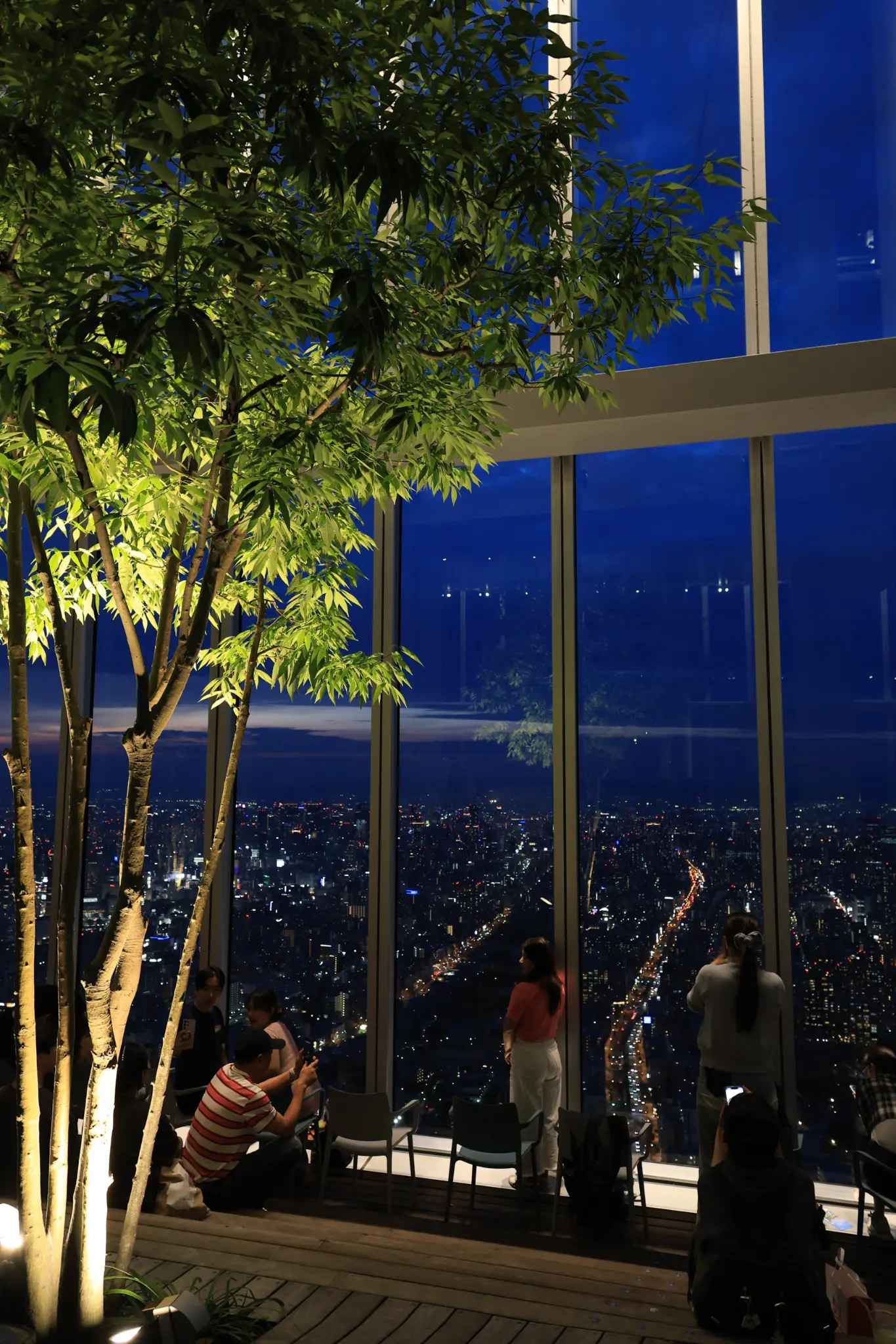Harukas 300 Sky Garden Night