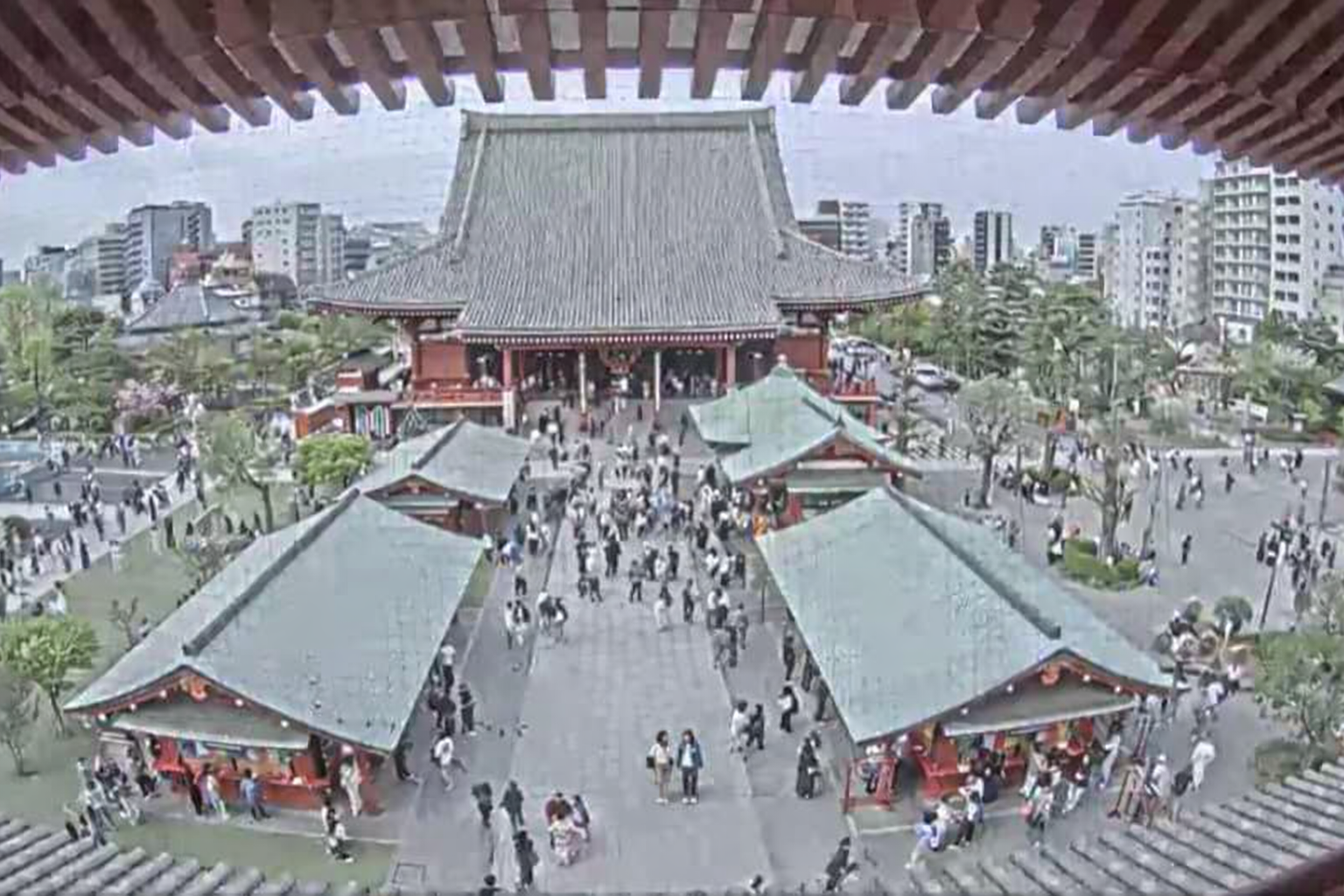 Sensoji Temple Main Hall Live Camera View
