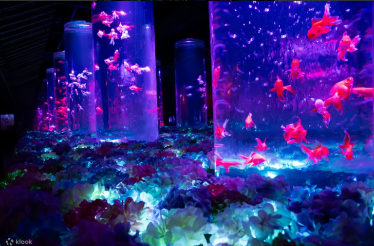 Art Aquarium Museum GINZA