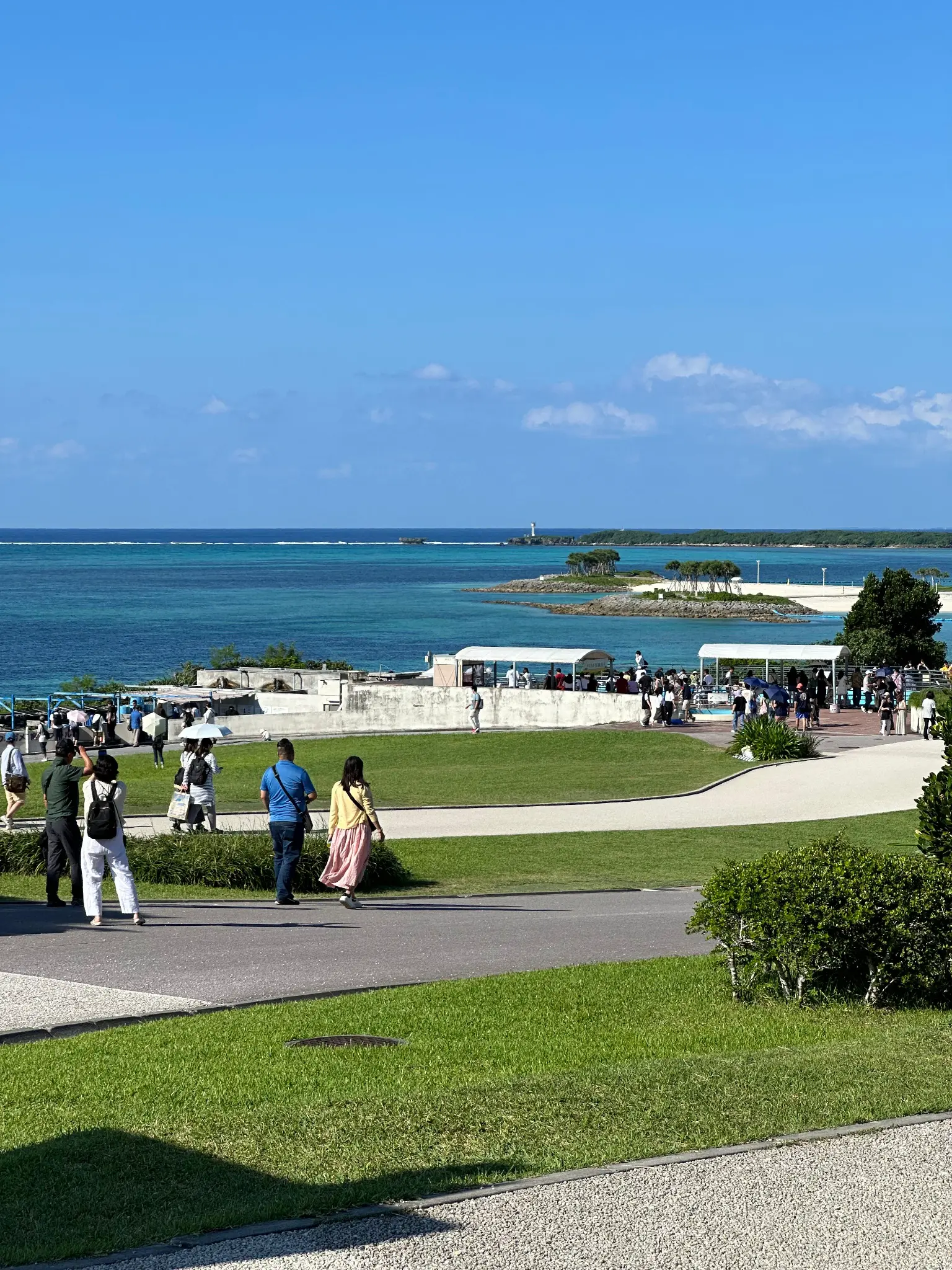 Outdoor park view with ocean