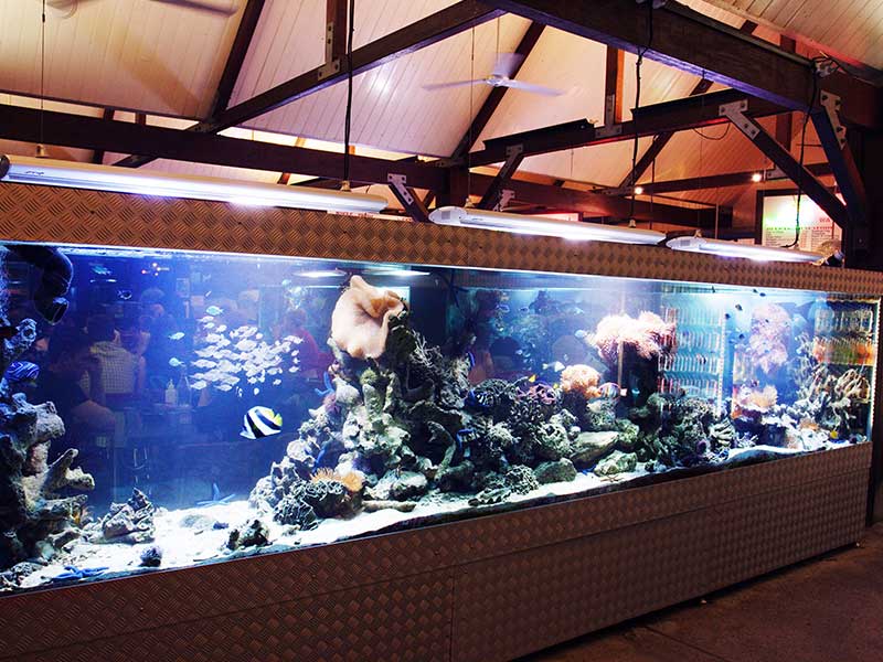 Cicerello's Aquarium Tanks