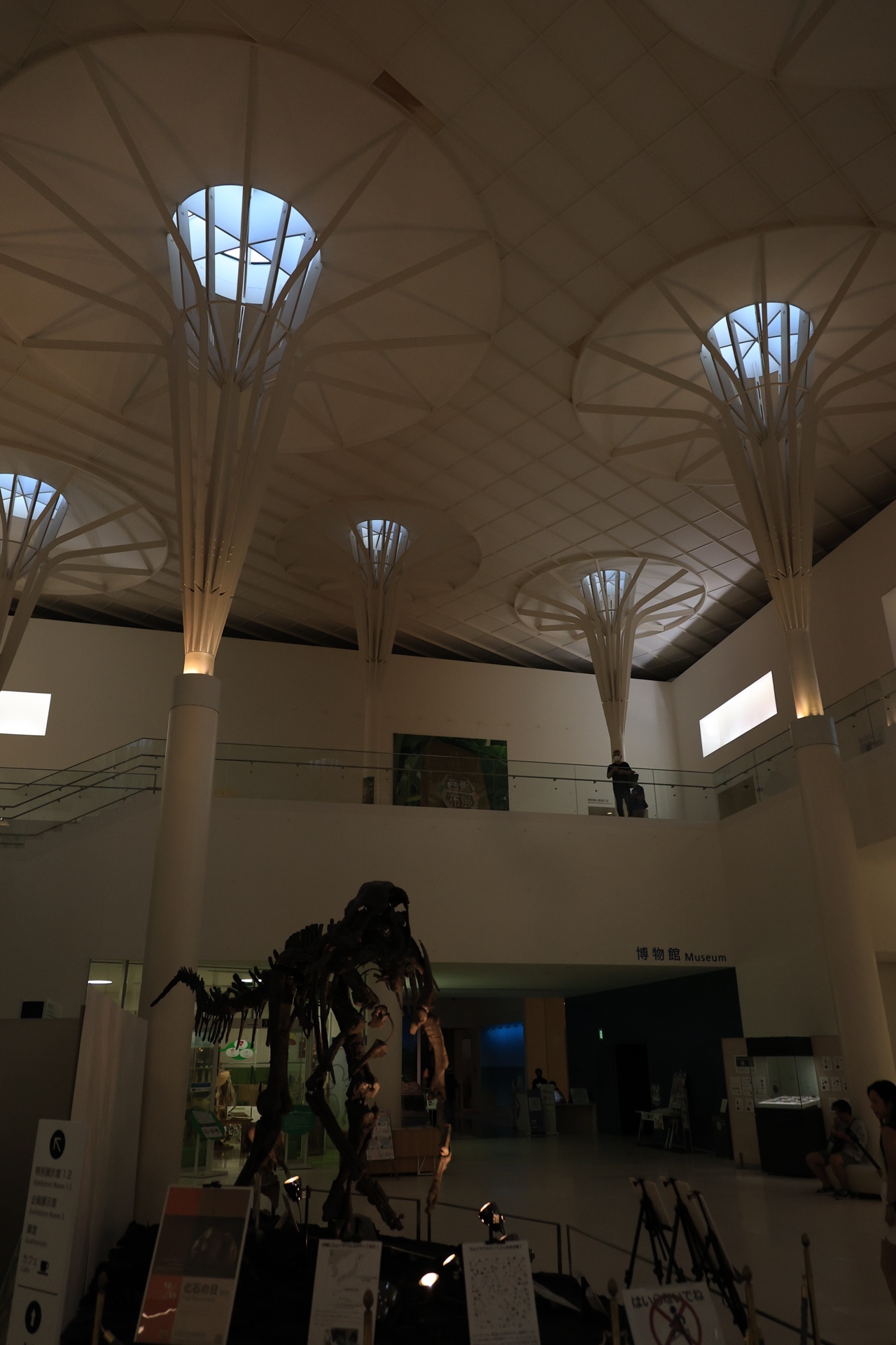 Museum entrance and outdoor space