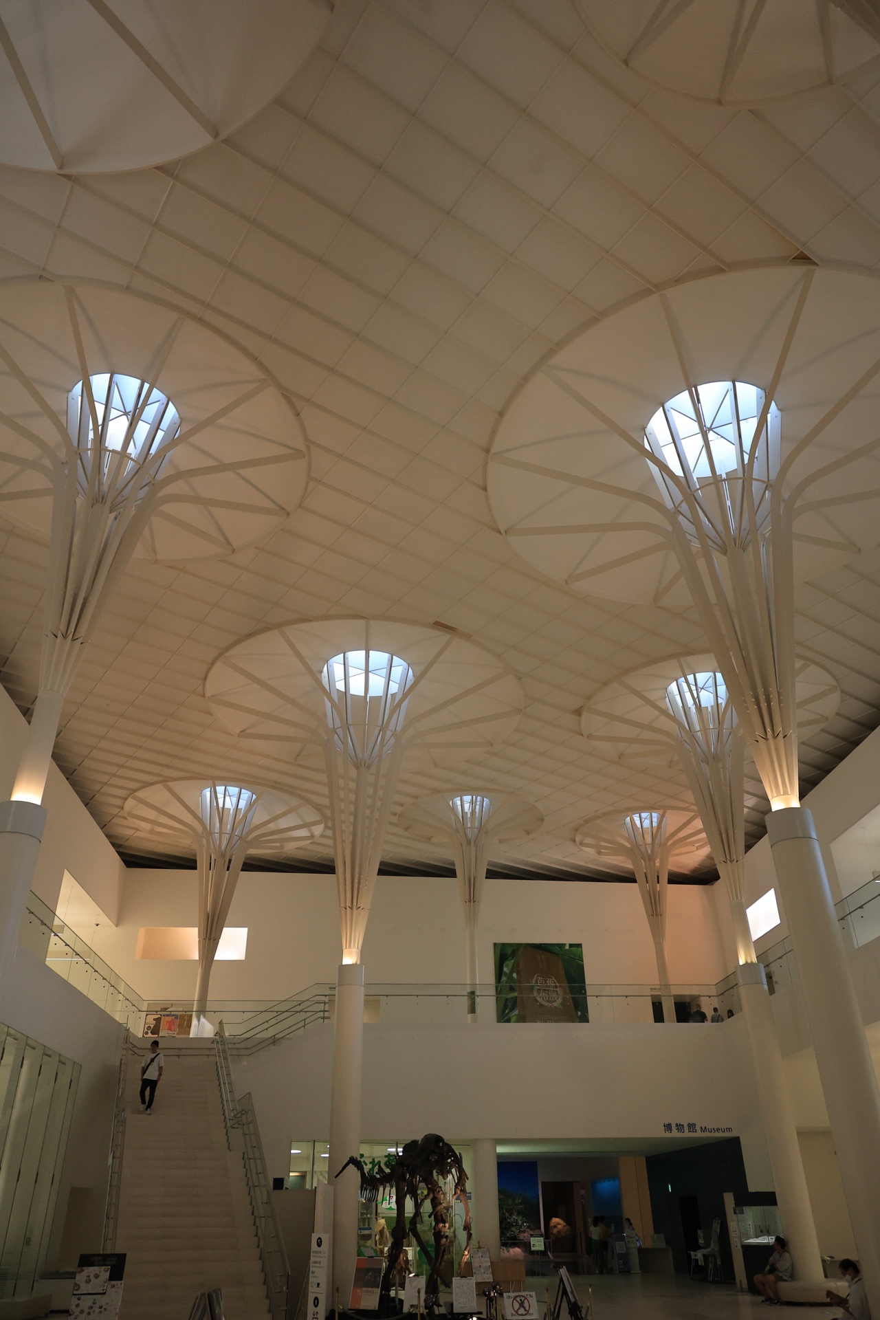 Museum interior ceiling architecture