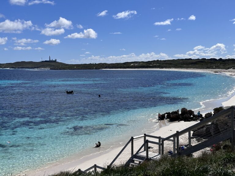 From Perth to Paradise: The 2026 Parent’s Survival Guide to Rottnest Island