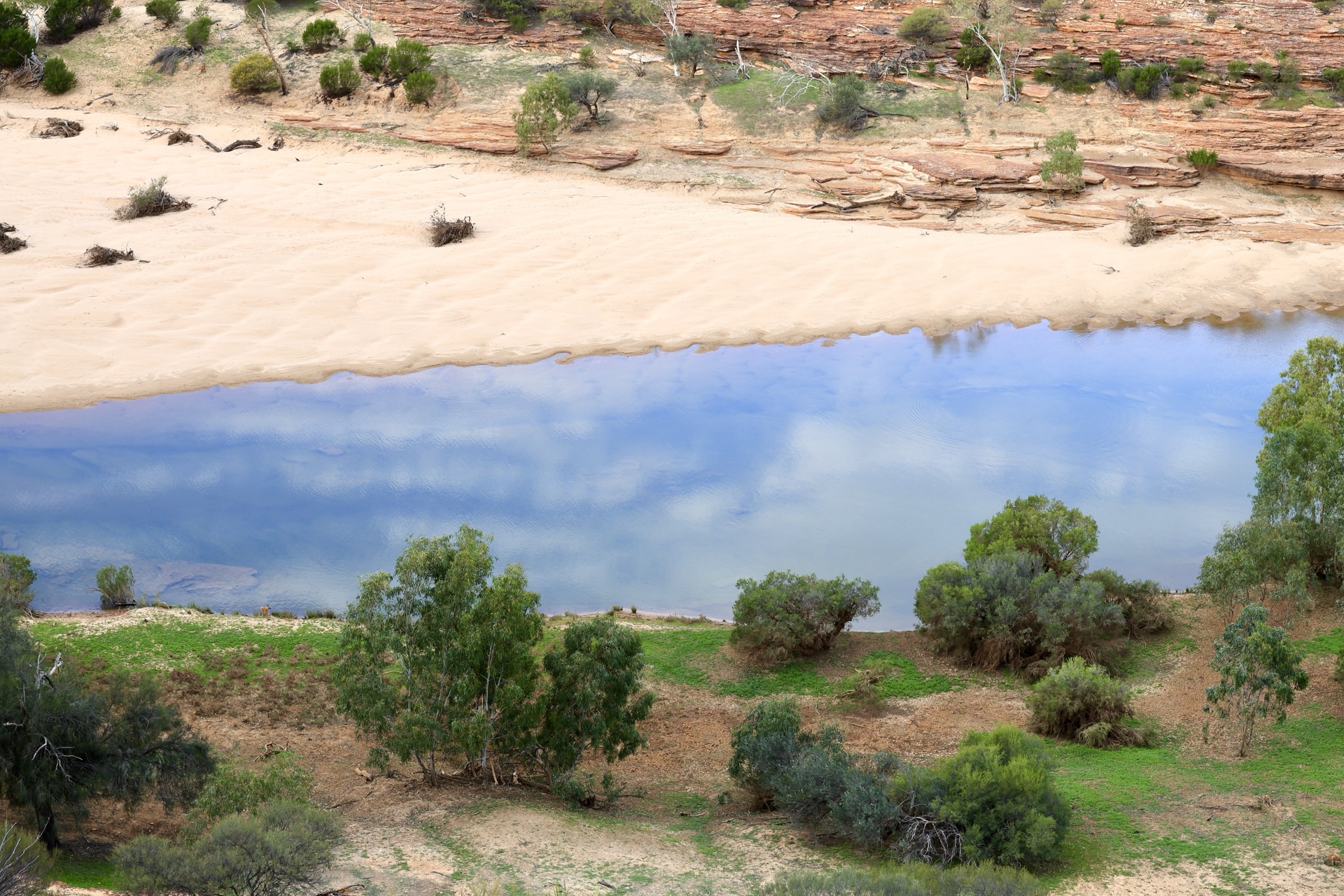 Murchison River reflections