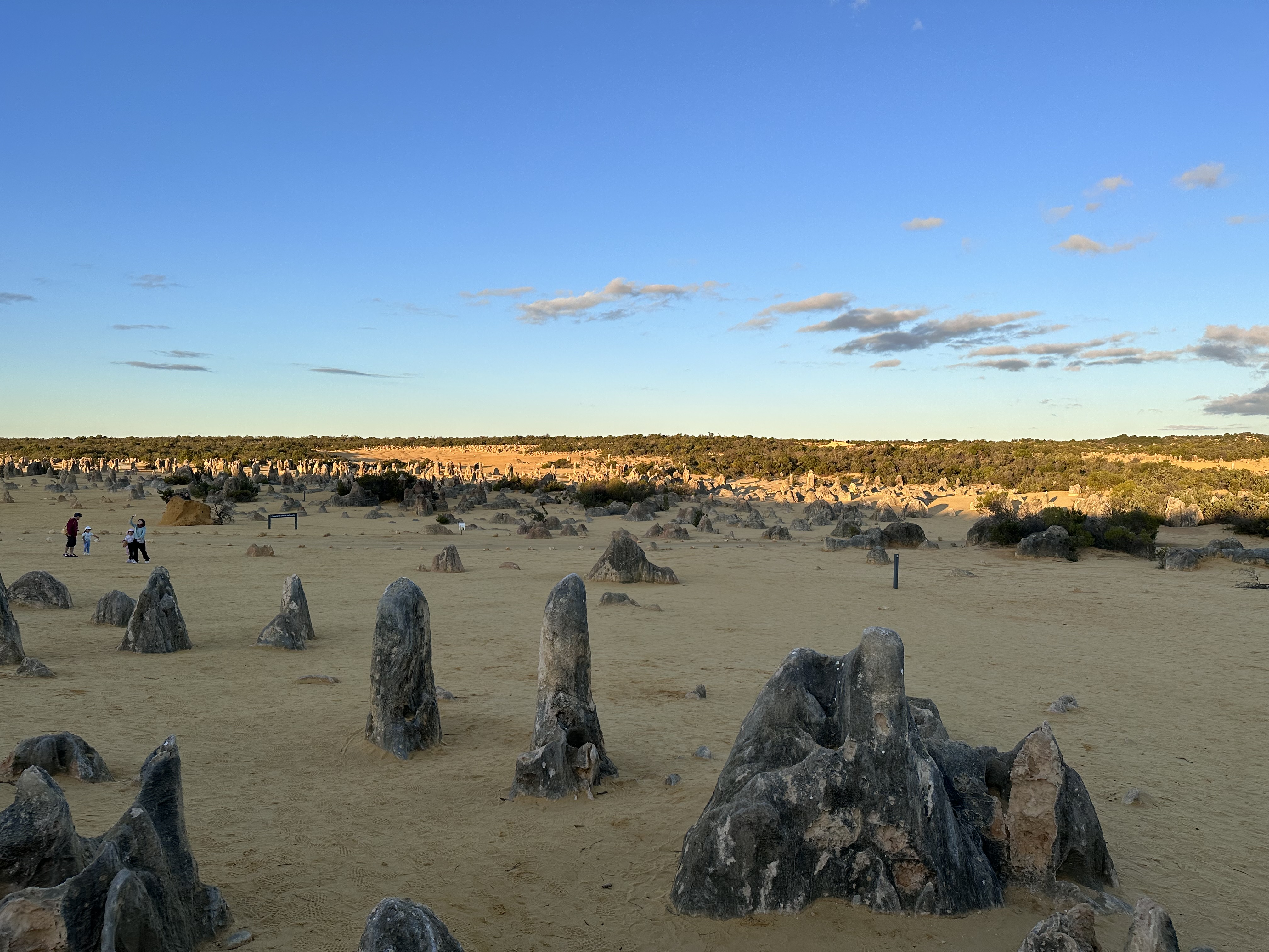Families walking among dark limestone spires at golden hour, Pinnacles Desert, Nambung National Park, Western Australia