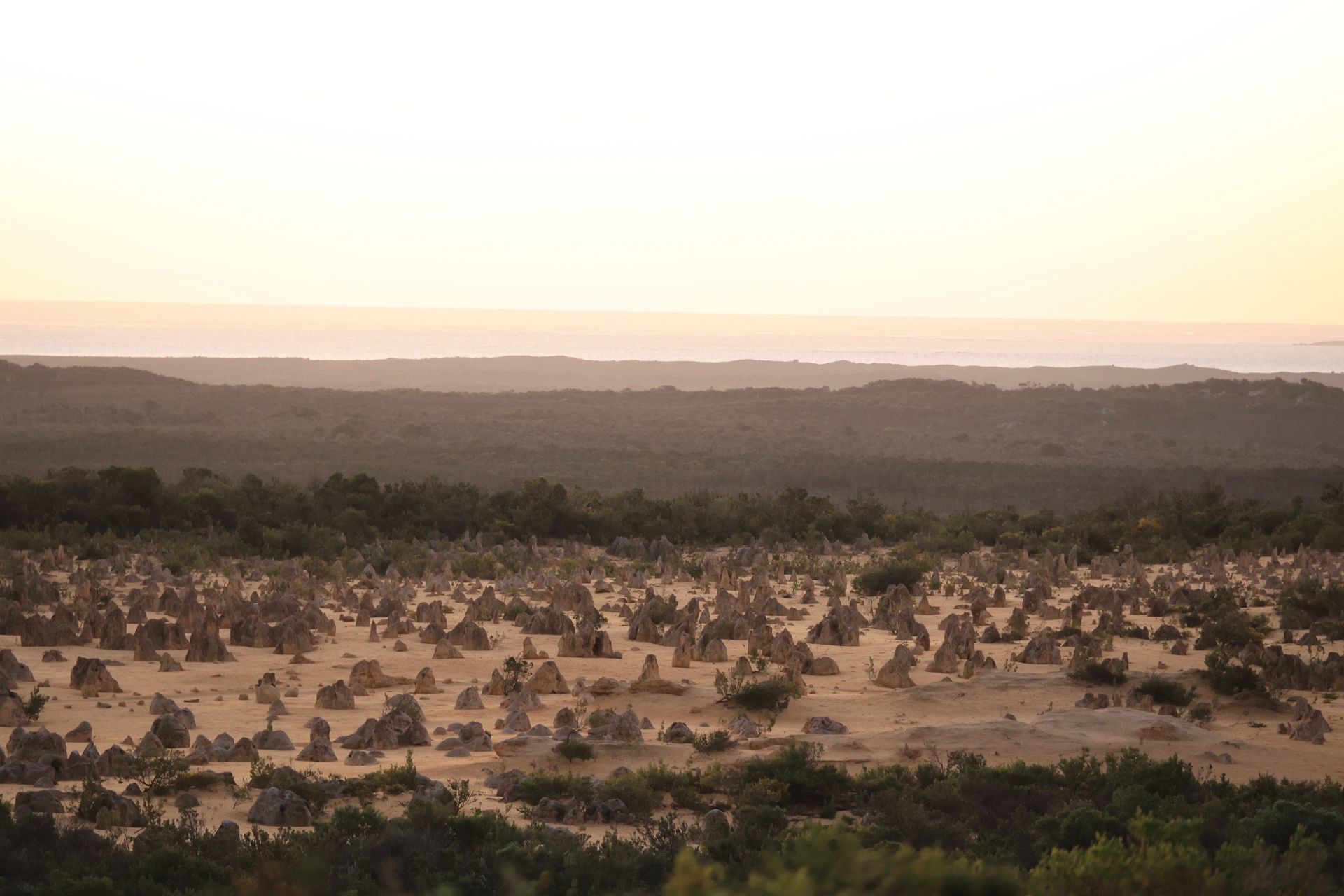 Wide panoramic view of thousands of limestone pinnacles at dusk, with the Indian Ocean visible on the distant horizon, Nambung National Park