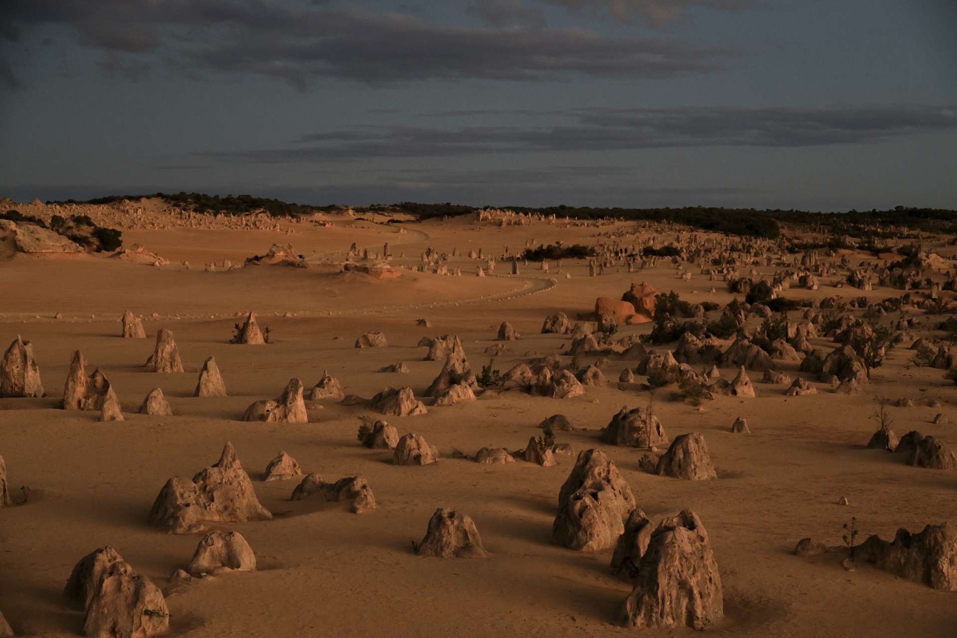 Limestone pinnacles bathed in deep red and orange sunset light, casting long shadows across the sand, Nambung National Park WA