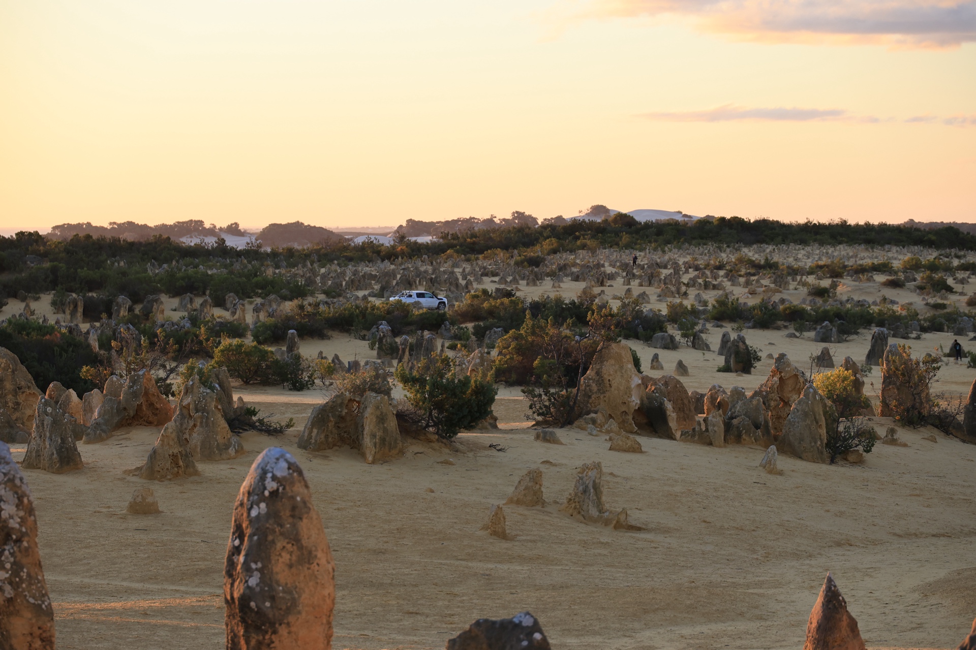 Sunset over the Pinnacles Desert with a white 4WD vehicle visible among the limestone spires and golden scrubland, Nambung National Park