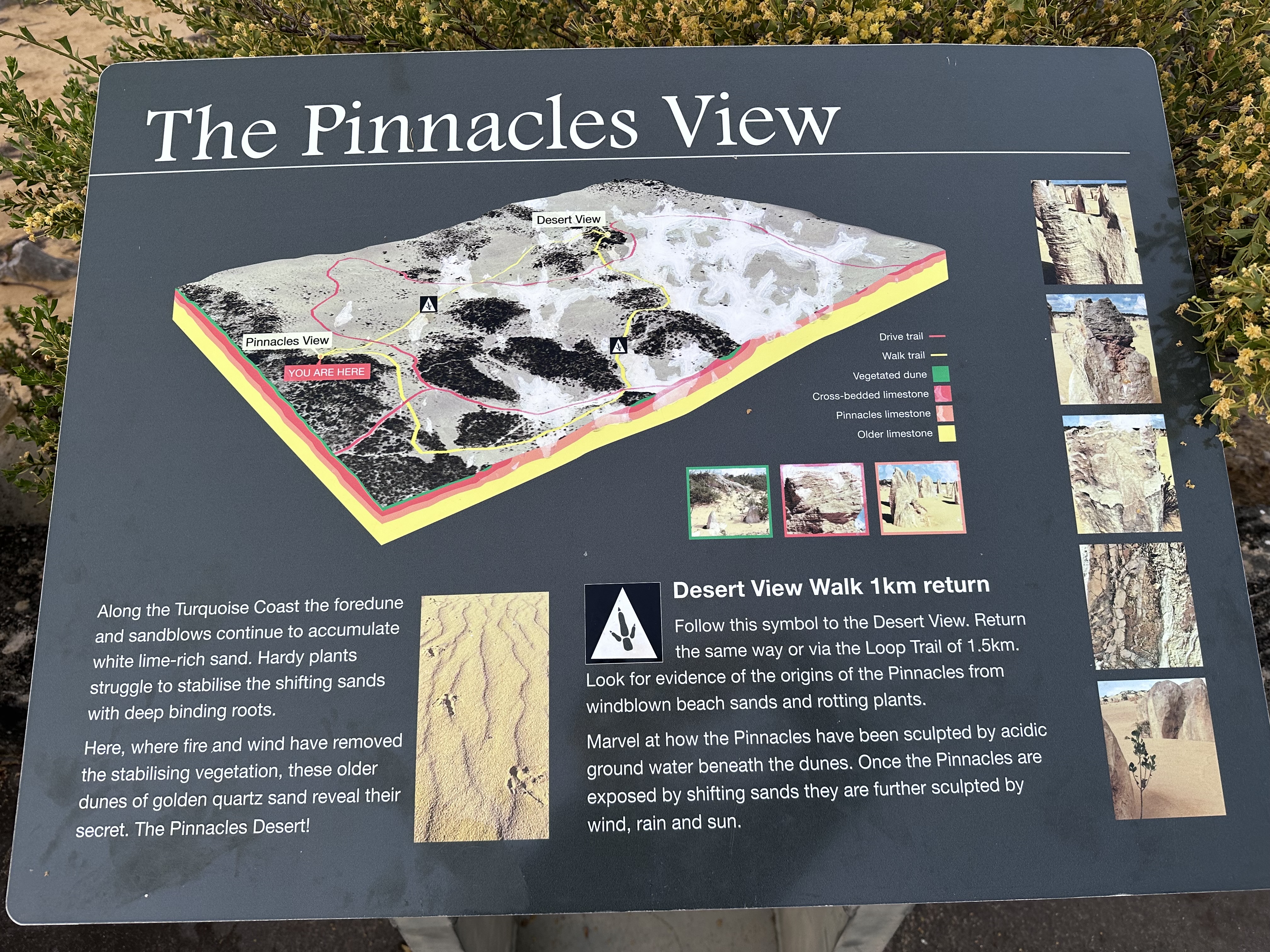 The Pinnacles View interpretive signboard showing a 3D geological map of the desert, drive trail, walk trail, and limestone layer types