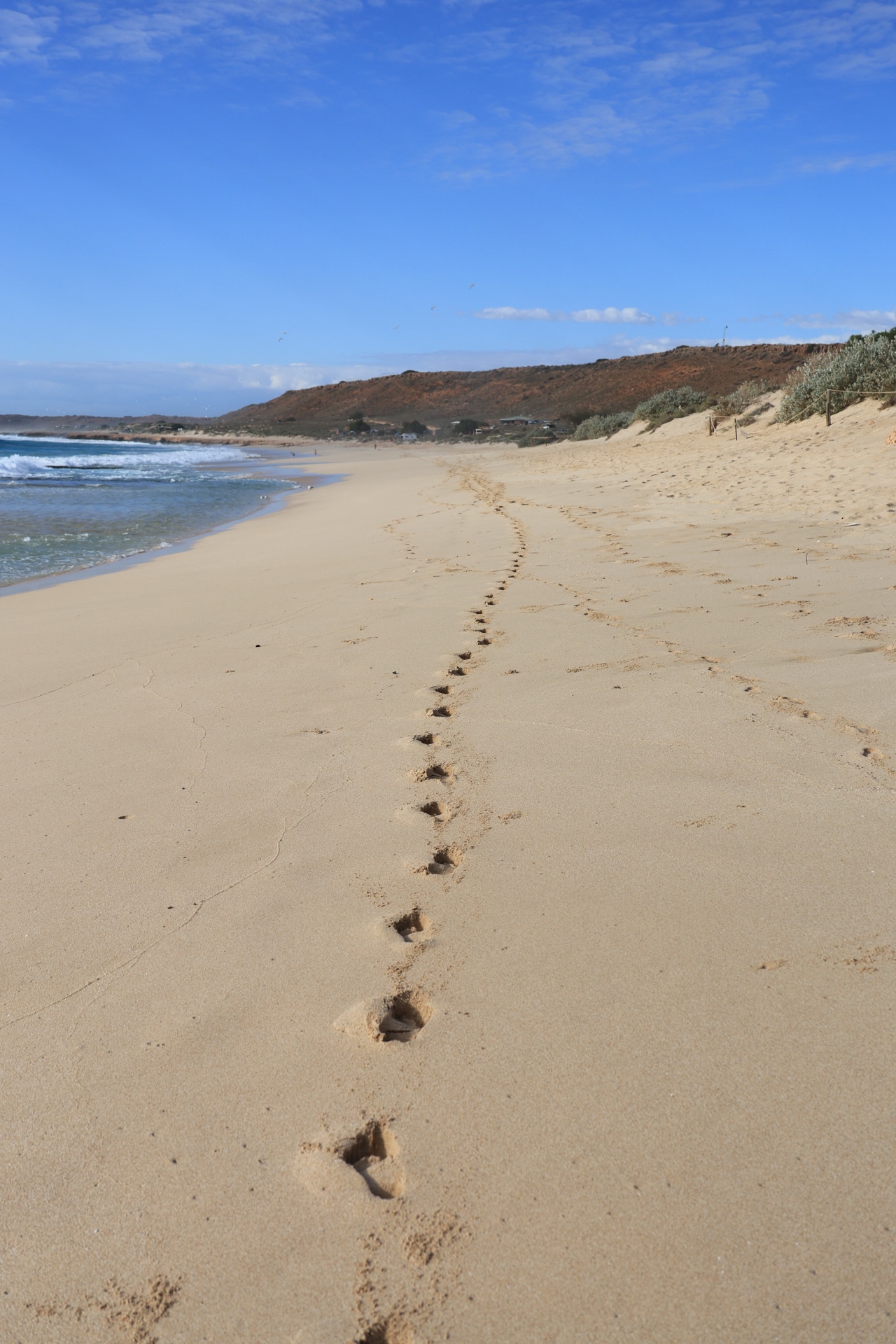 Footprints on the Beach
