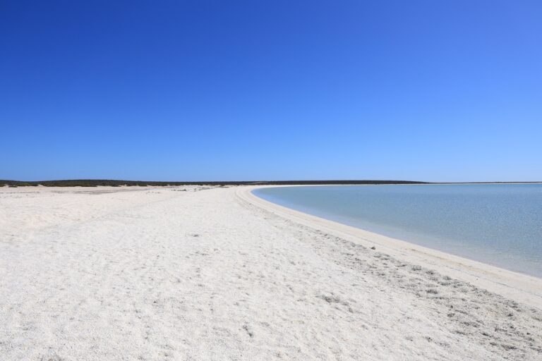A World of White: The 4.6-Star Hidden Gem You Need to See