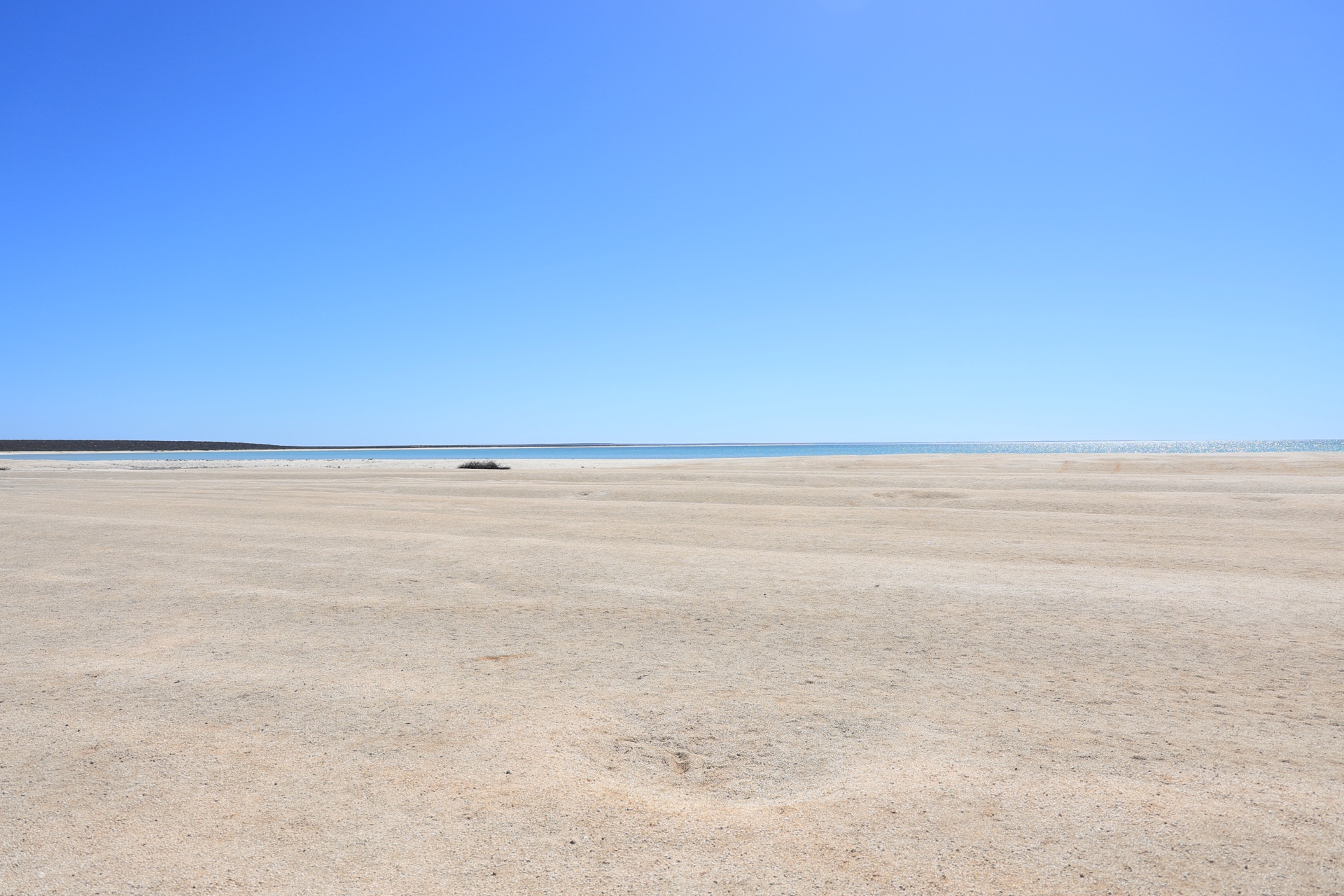 Shell Beach Expansive Landscape