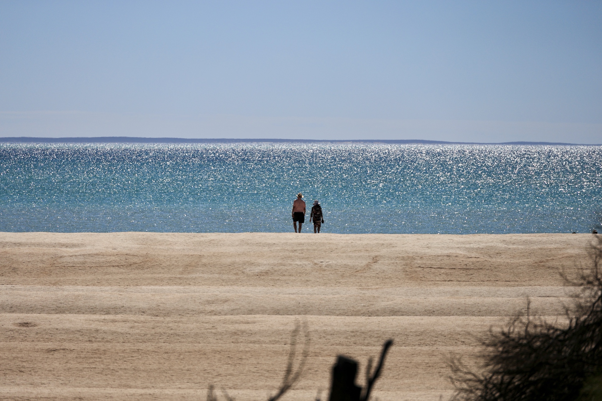 People Walking on Shell Beach