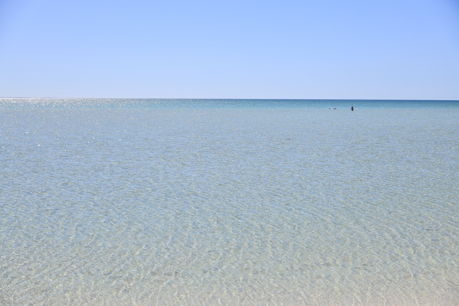 Shell Beach Turquoise Horizon