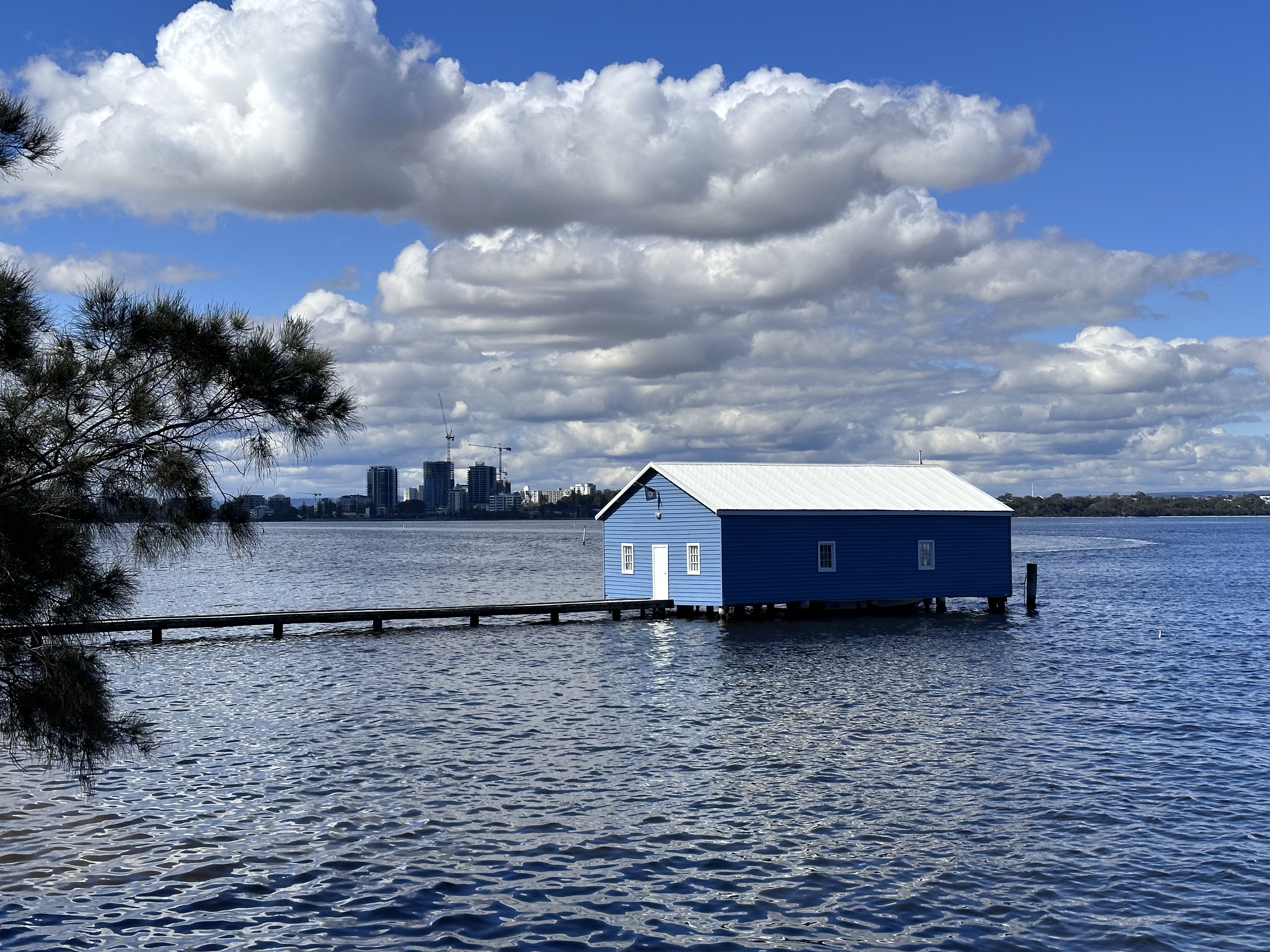 Crawley Edge Boatshed (Blue Boat House) viewed from the riverbank, Swan River, Perth WA