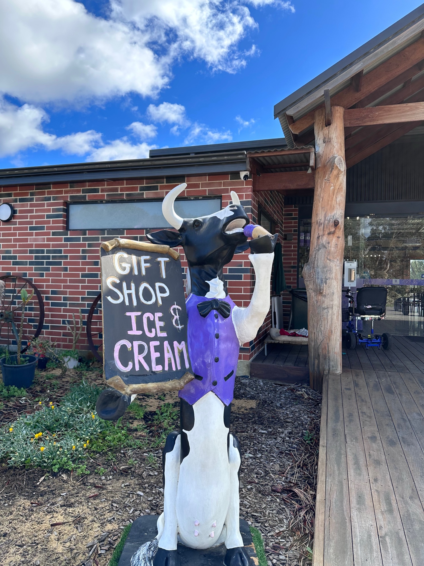 Cow statue holding an ice cream cone outside the Lavender Estate gift shop